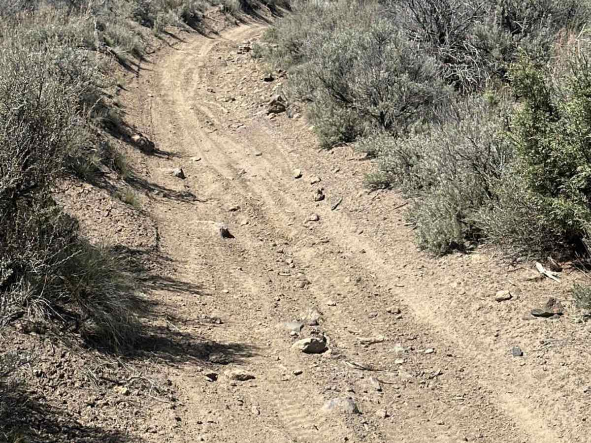 East Fort Rock OHV Trail 25 photo 2