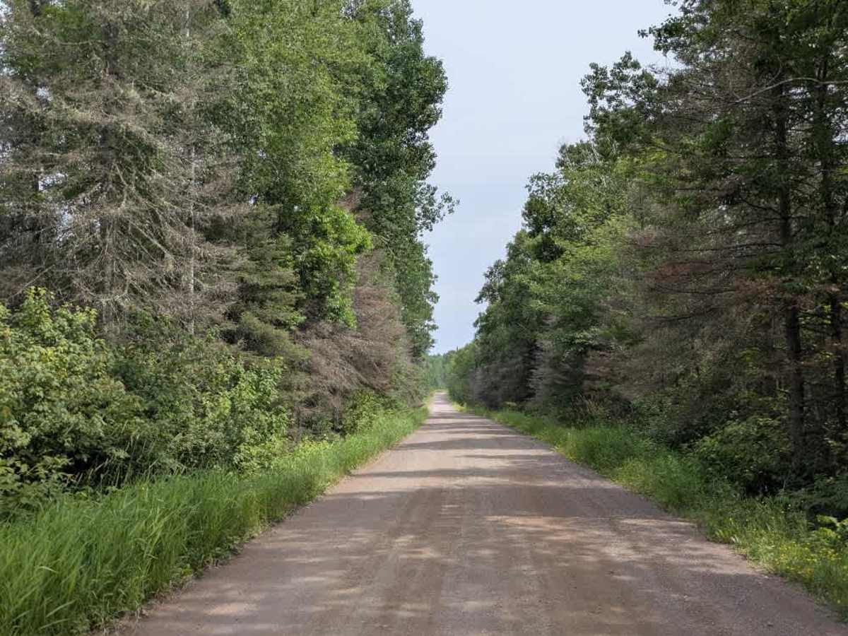 The Grade trail photo