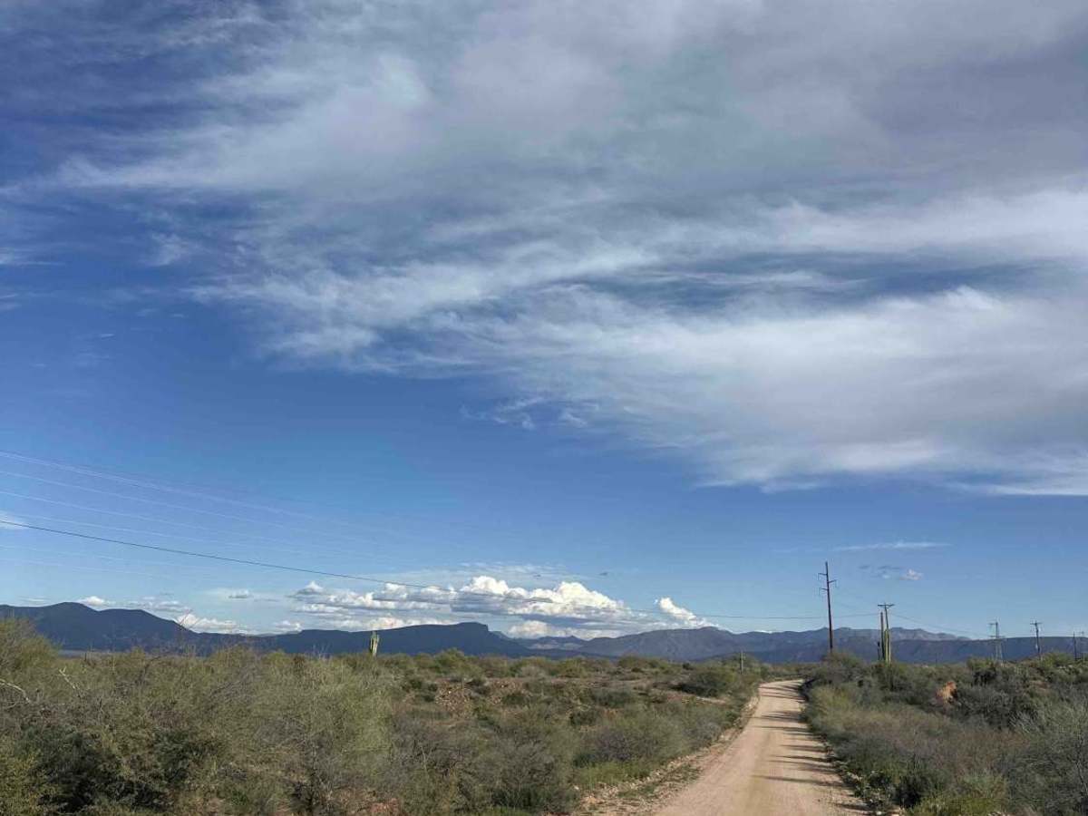 FS 83 trail photo