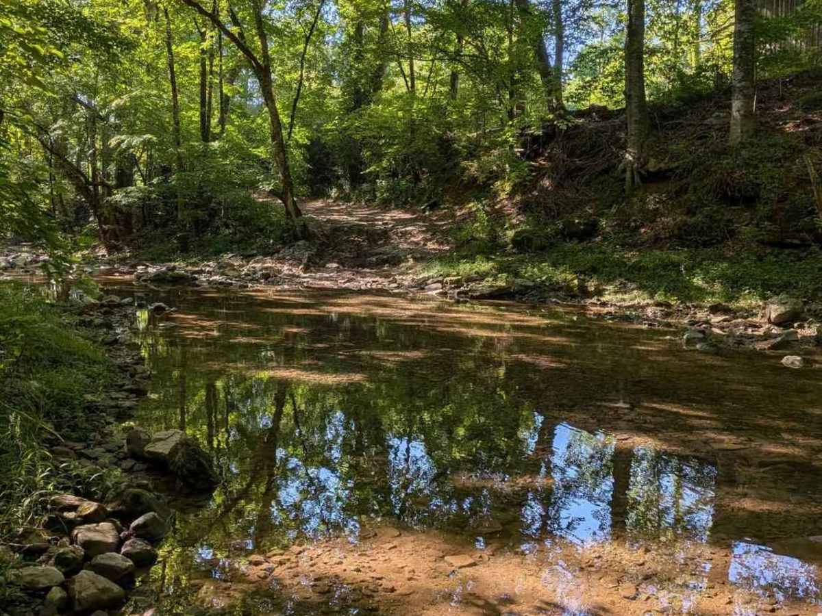 Whites Gap Road trail photo