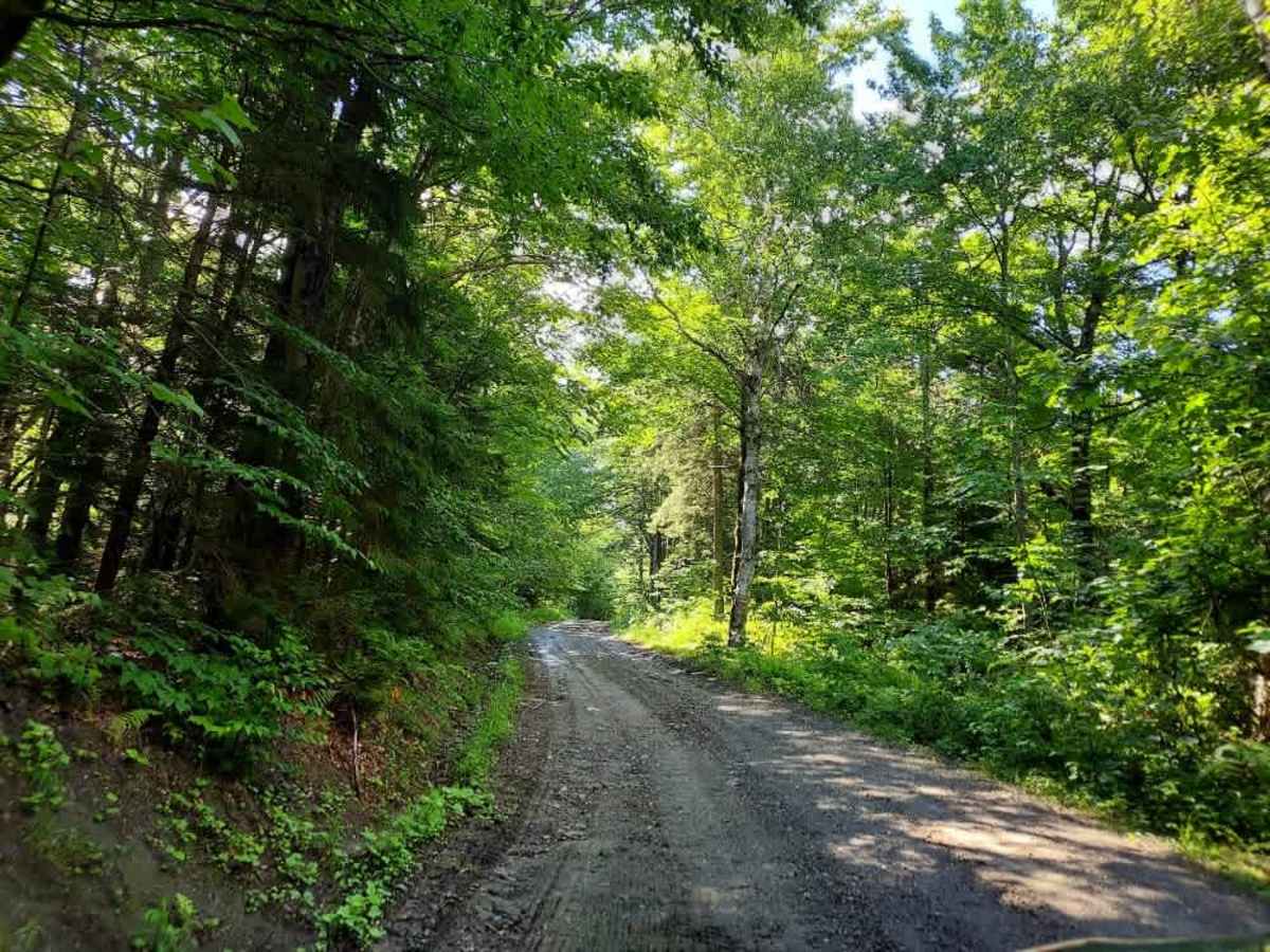 Fletcher Brook Road trail photo