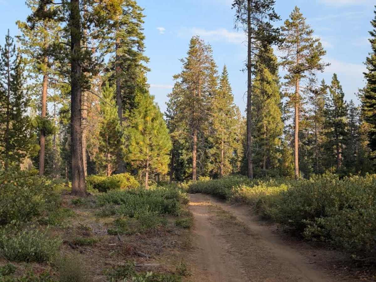 FS 4612220 trail photo