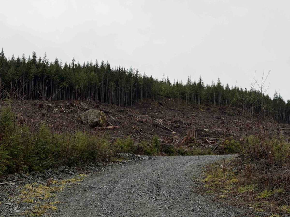 Brewster Lake Recreation Site photo 6