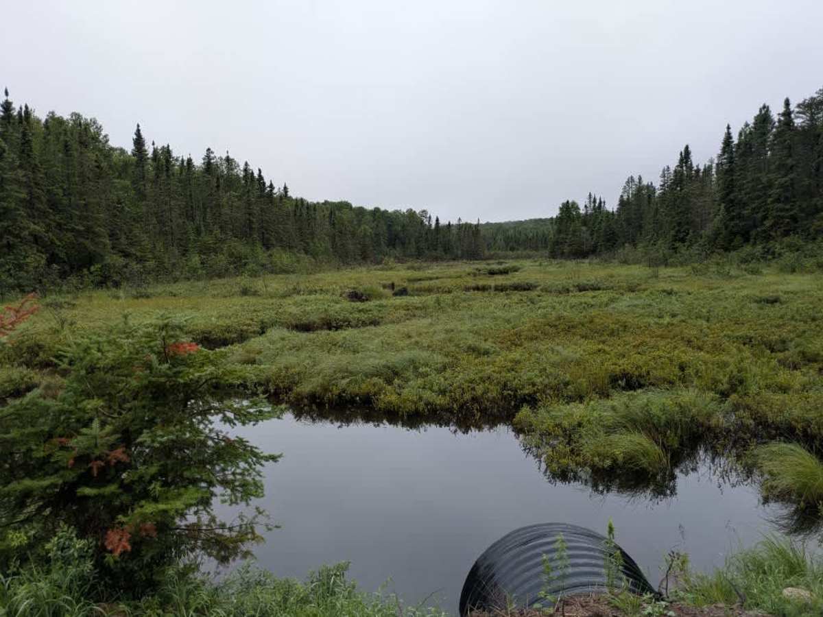 Brule Lake Road photo 6