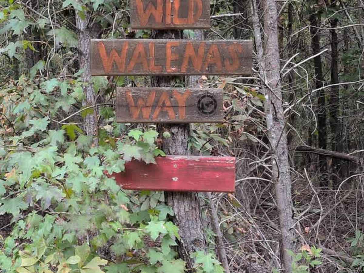 #25 Wild Walena's Way photo 3