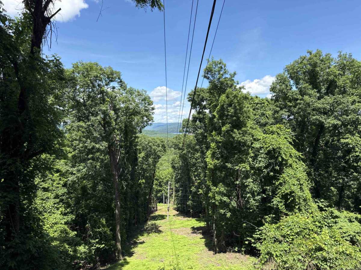 Rackley Mountain Road photo 5
