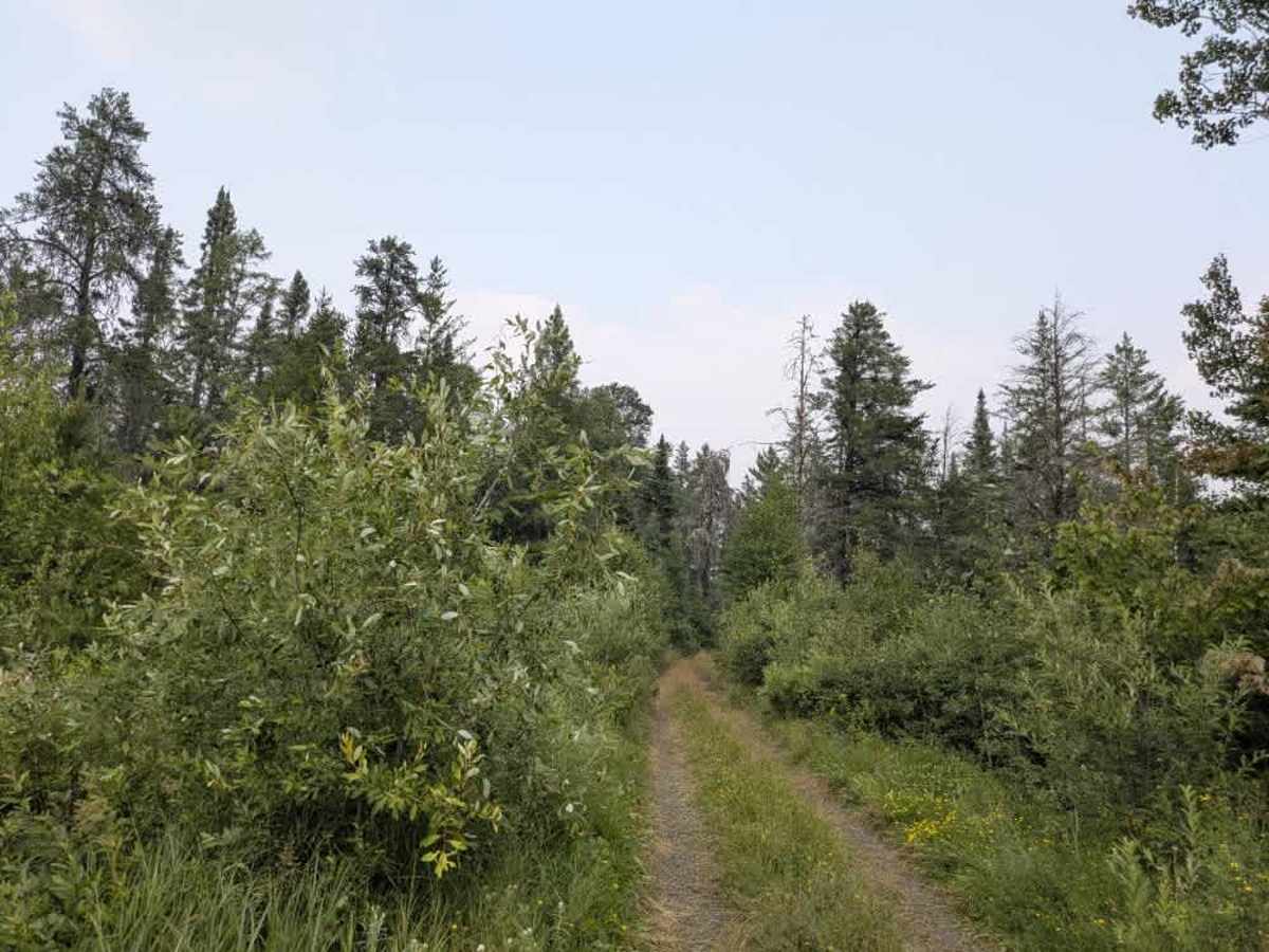 Muckawa photo 6