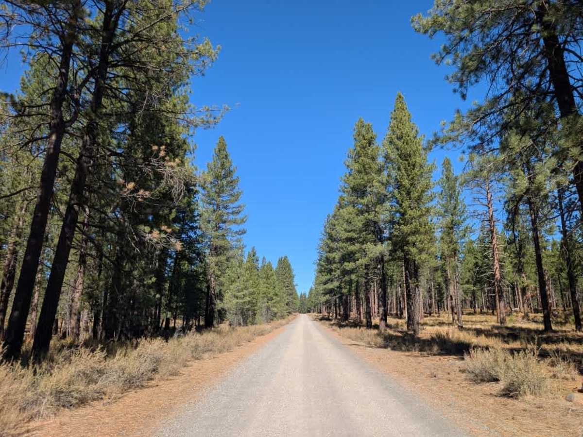 FS 33N02 trail photo