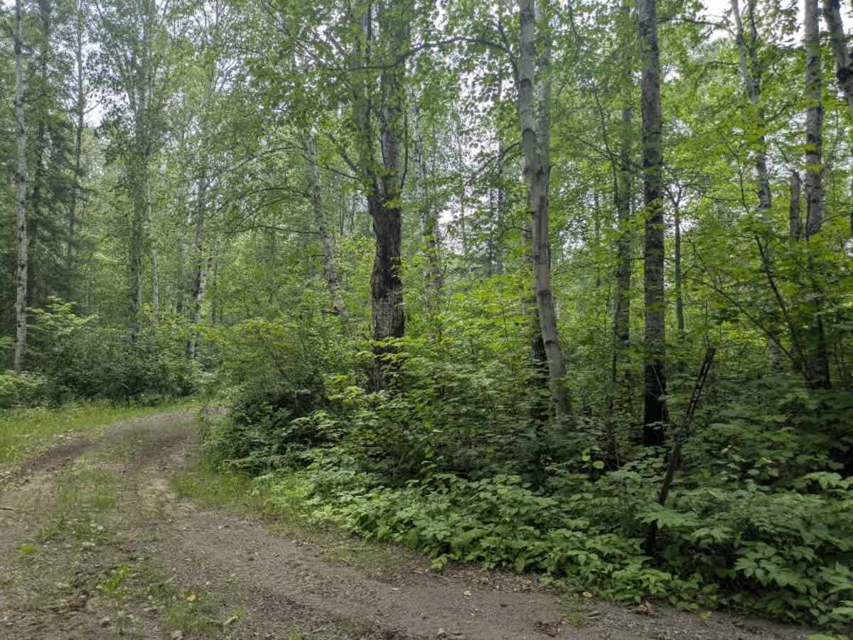 FS 1491 trail photo