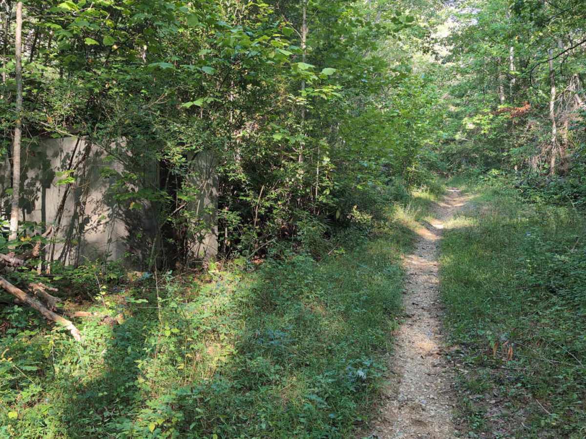 Virginia Highlands Horse Trail photo 2