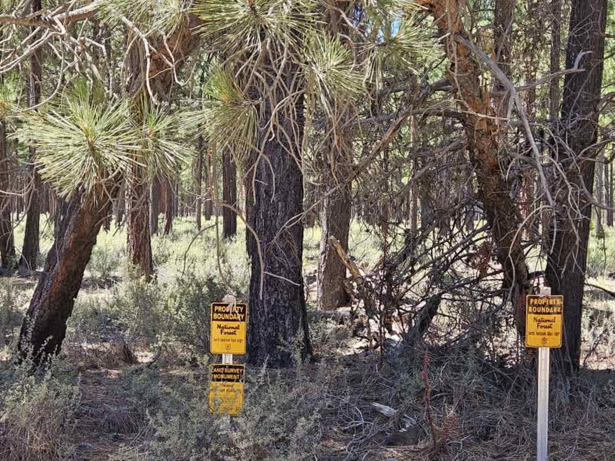 Boundary Road photo 2