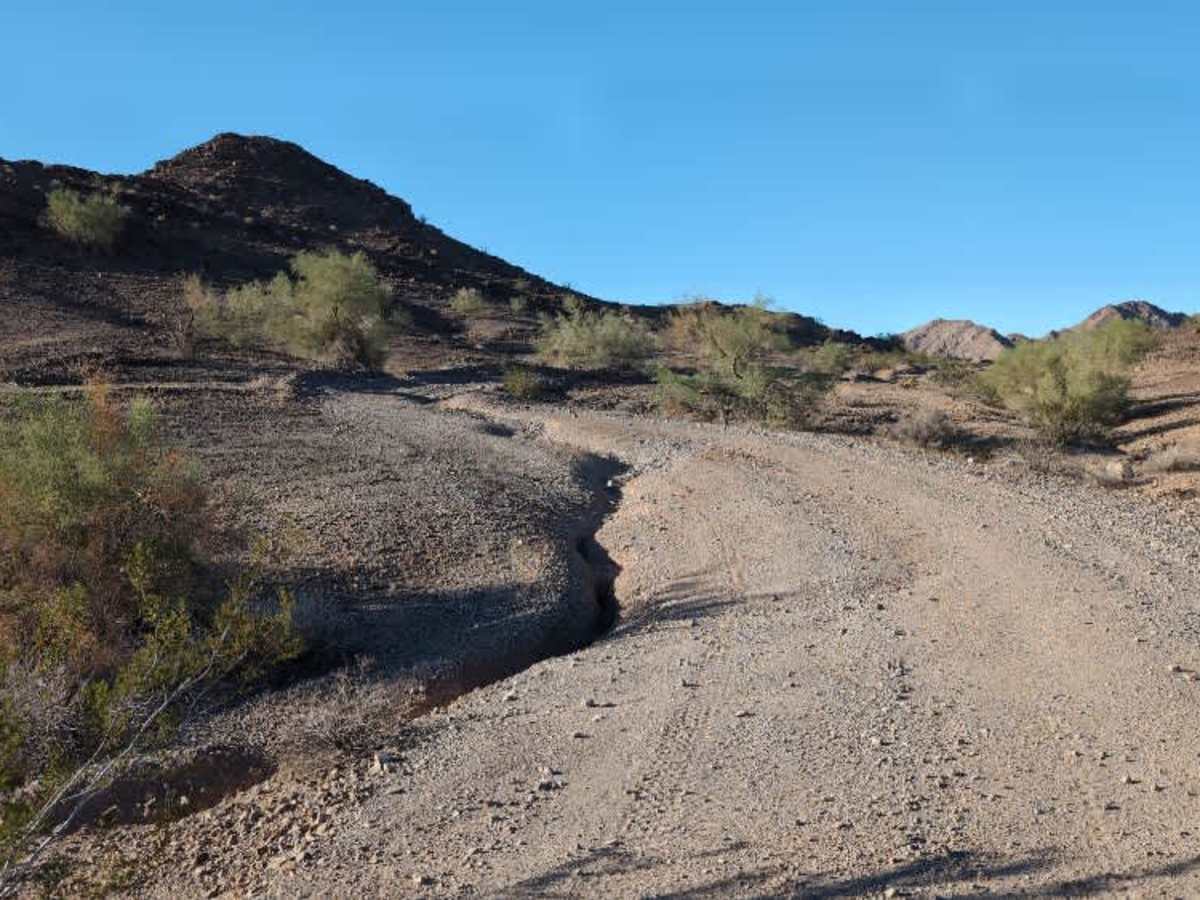 Patch Mine photo 4