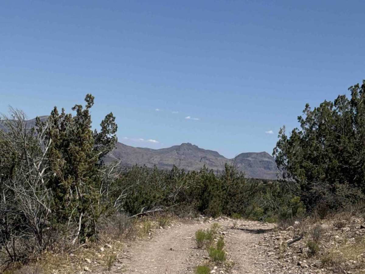 Lower Mine Trail  photo 6