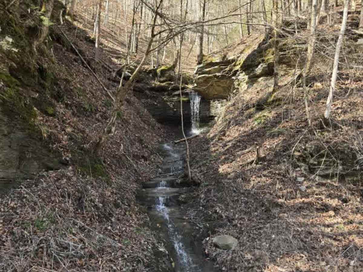 Misletoe Road trail photo