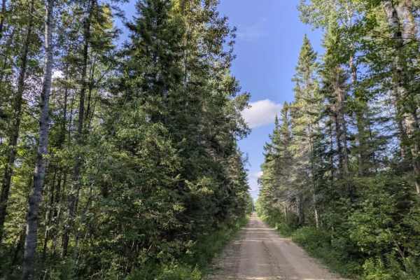 Ditch 10