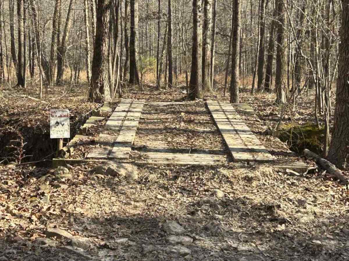 Shoals Lane trail photo