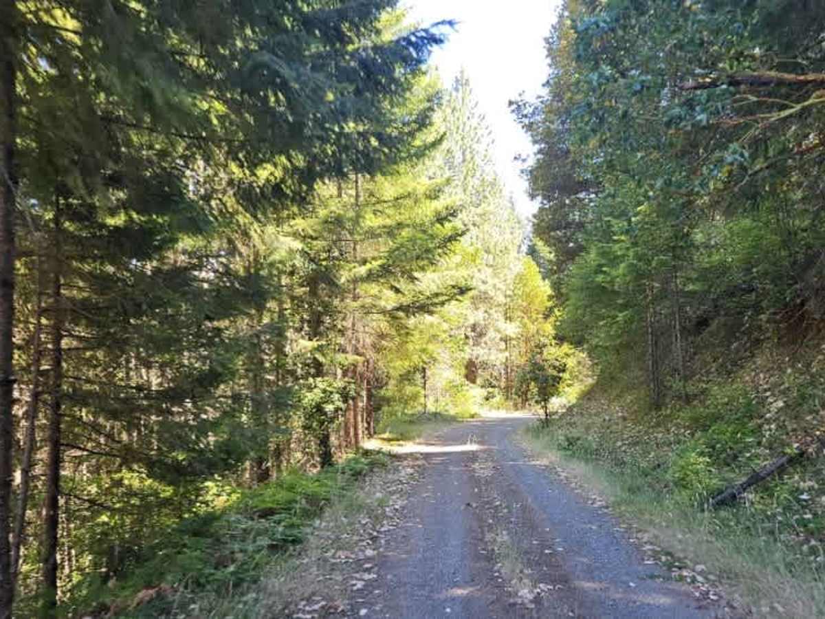 FS 3220900 trail photo