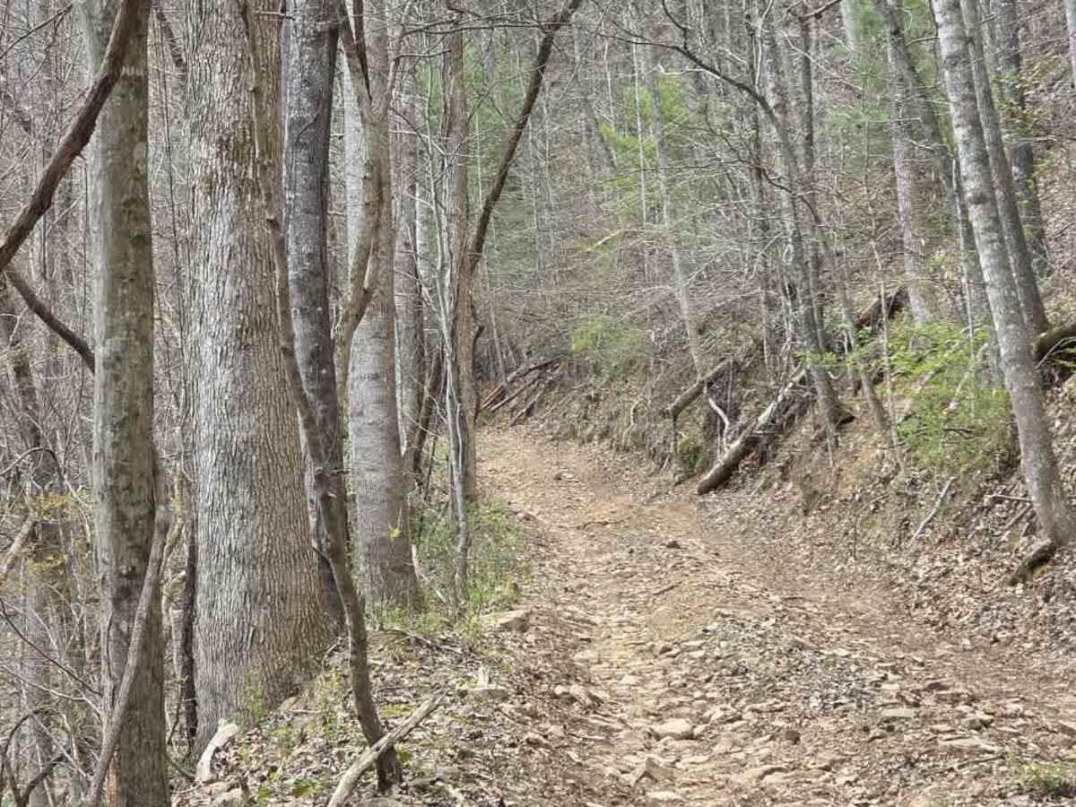 Green Knob photo 2