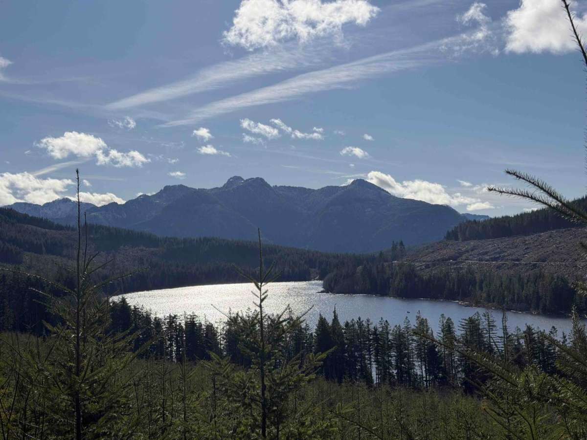 Shelton lake trail photo