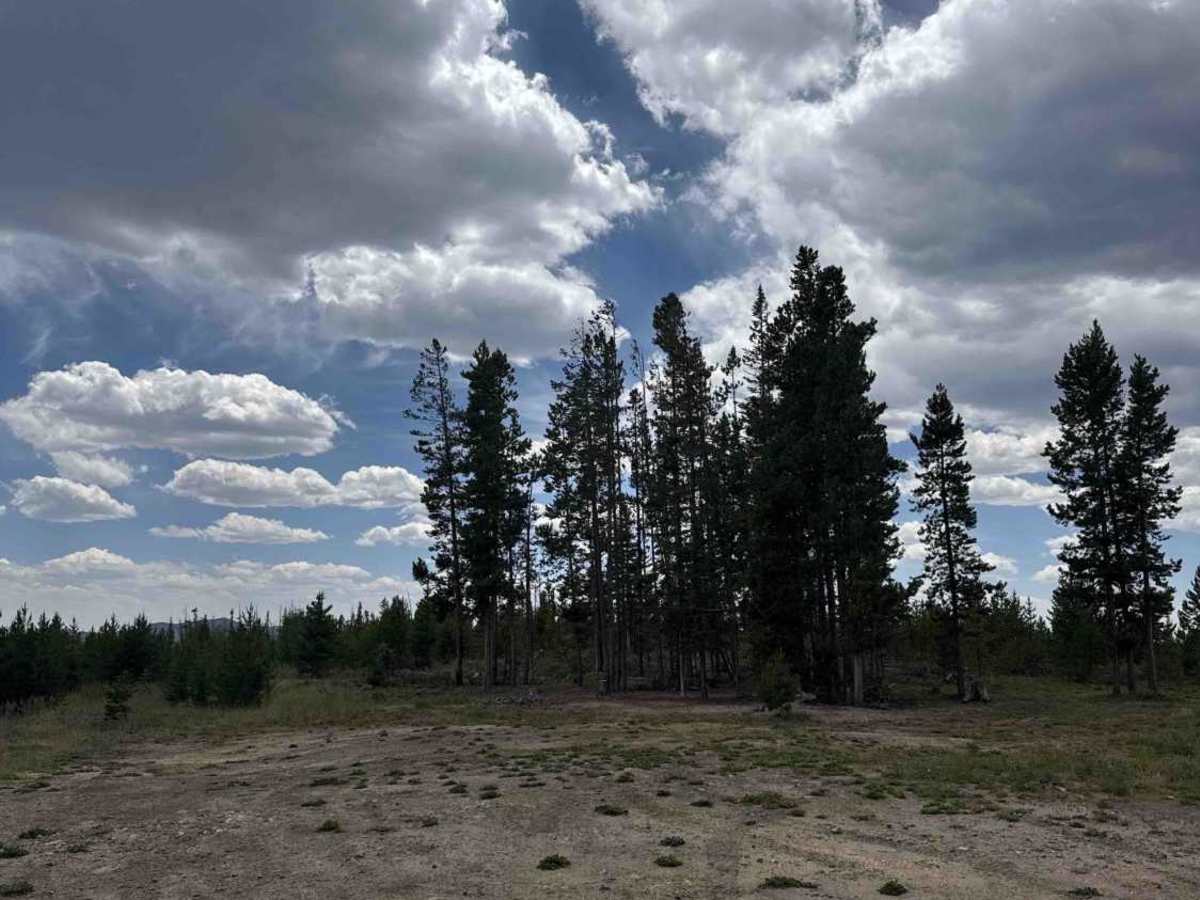 High Rock Creek Road - FS 263 photo 6