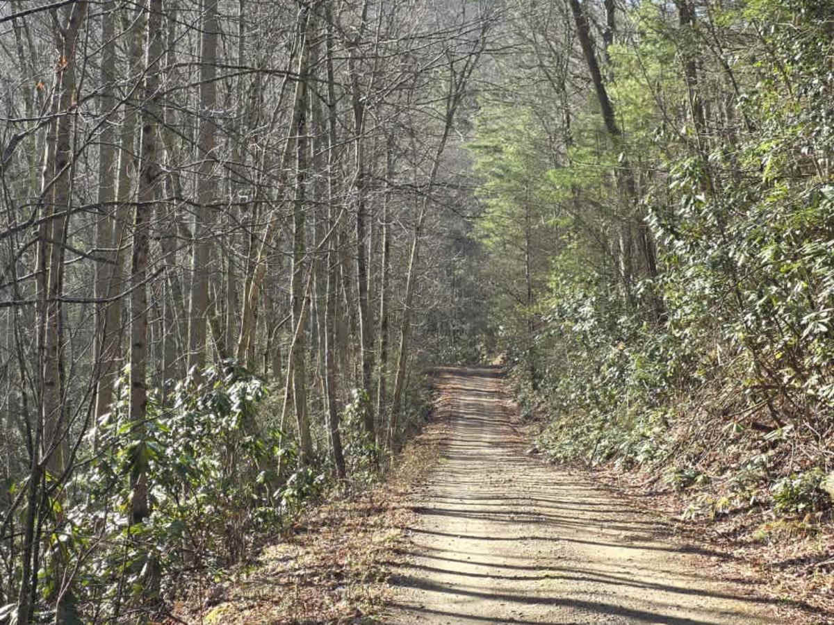 Gentry Creek photo 3