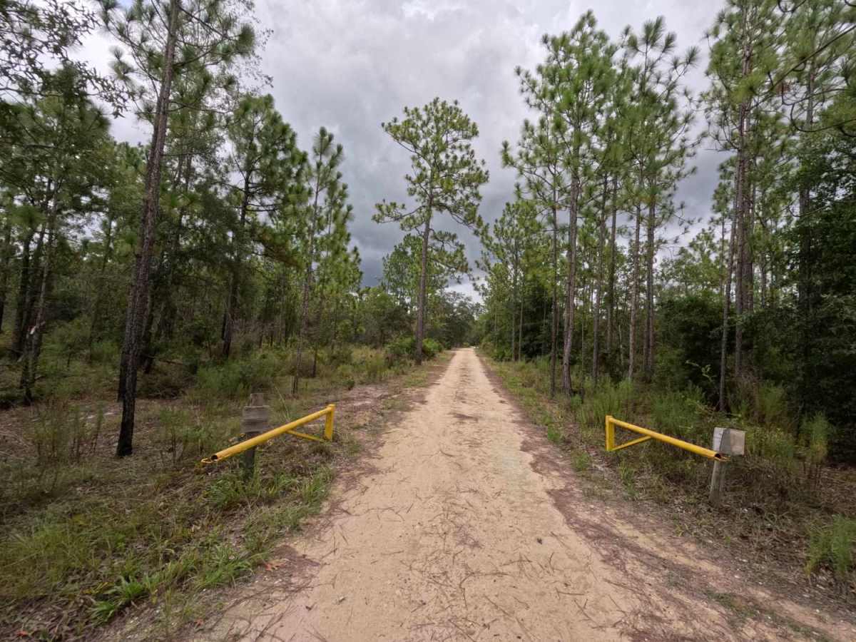 Ellis Ford Road trail photo