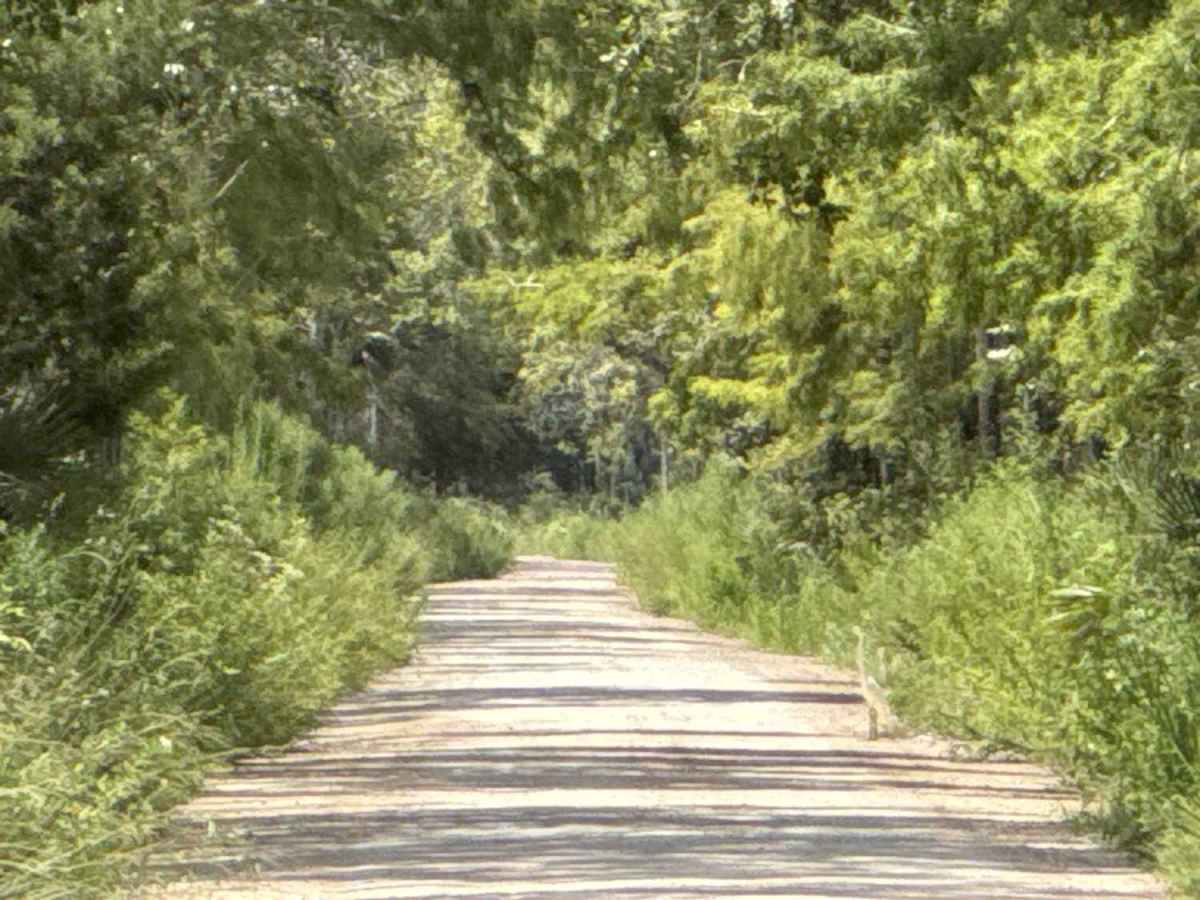Dixie Mainline Road trail photo