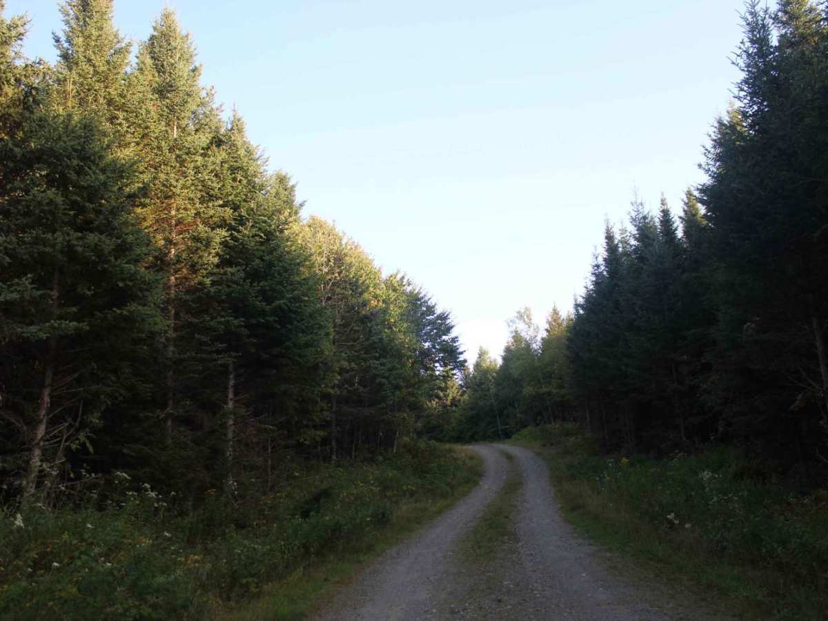 Cozy Brook Road photo 4