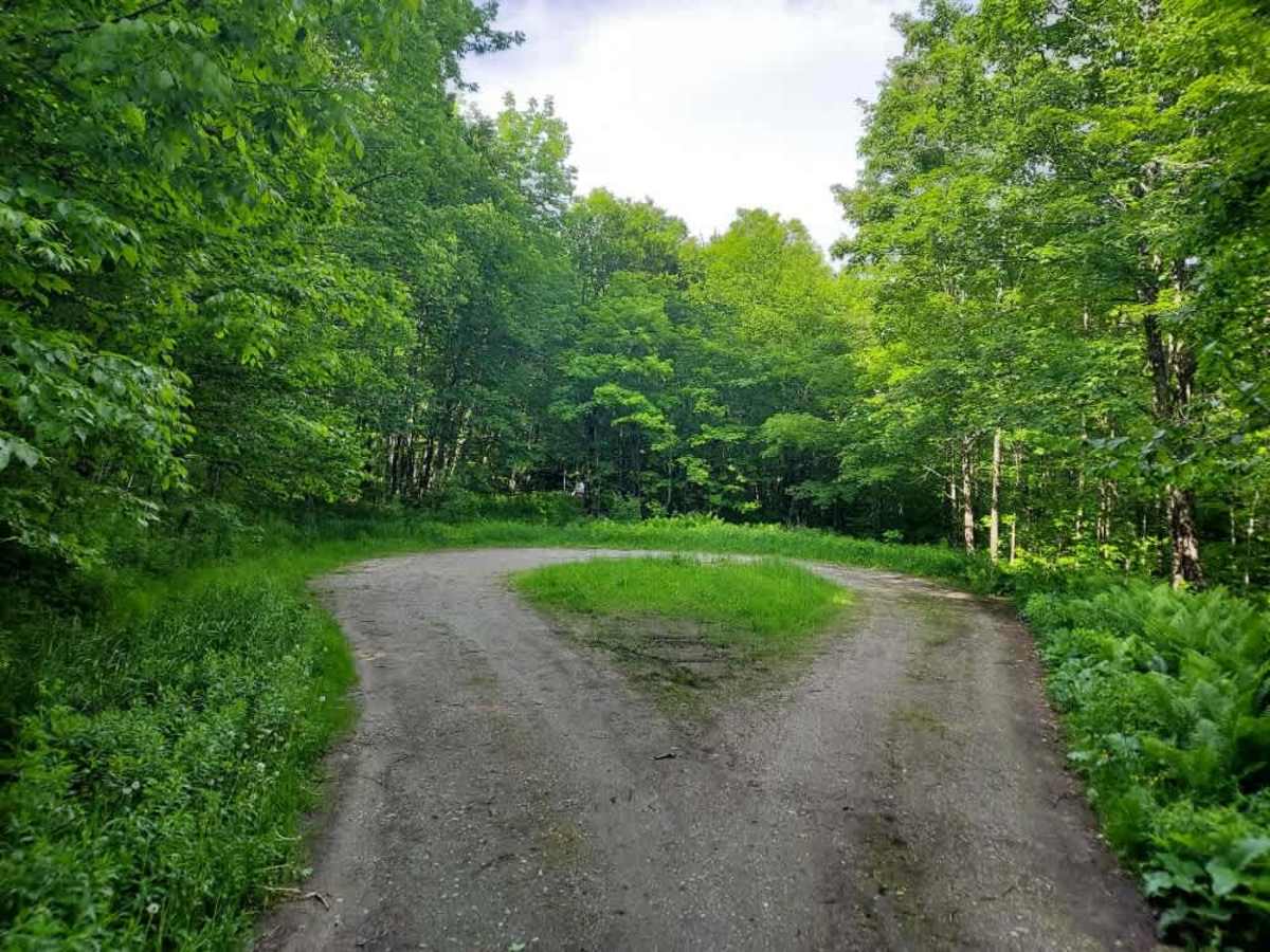 Black Branch Trail  photo 5