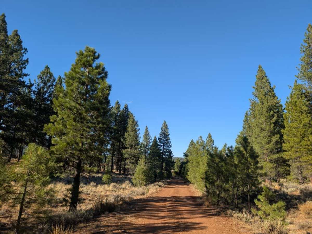 FS 33N07 trail photo