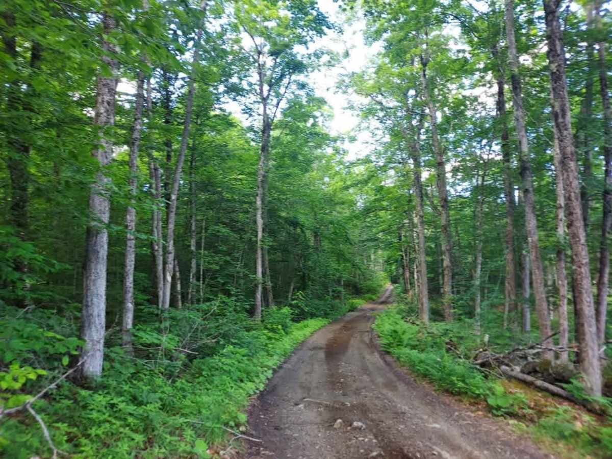 Long Hill Road photo 2
