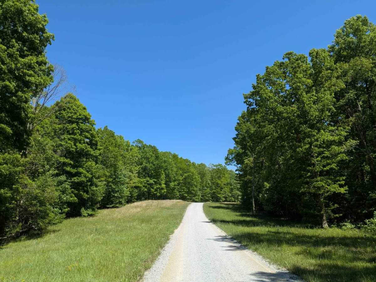 Poplar Springs Road trail photo