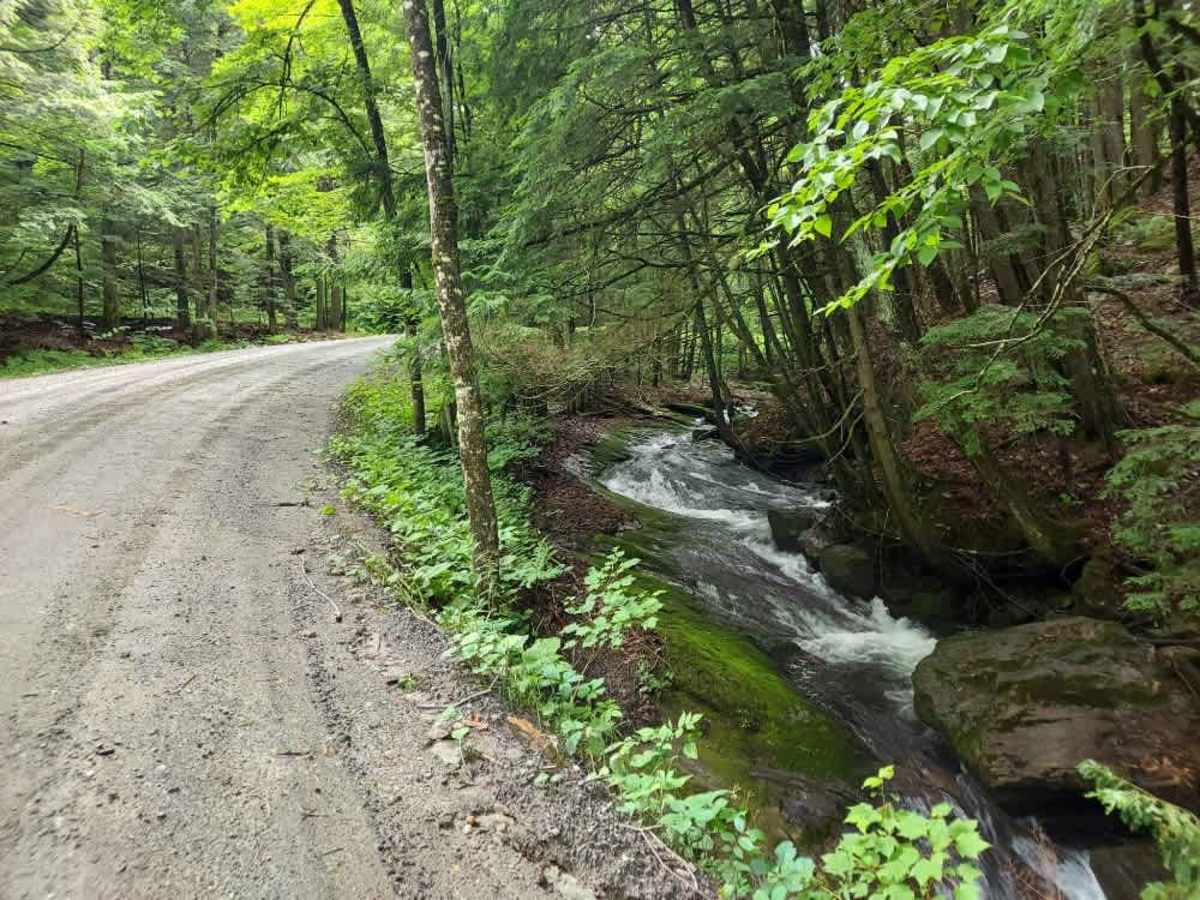 Rix Road trail photo