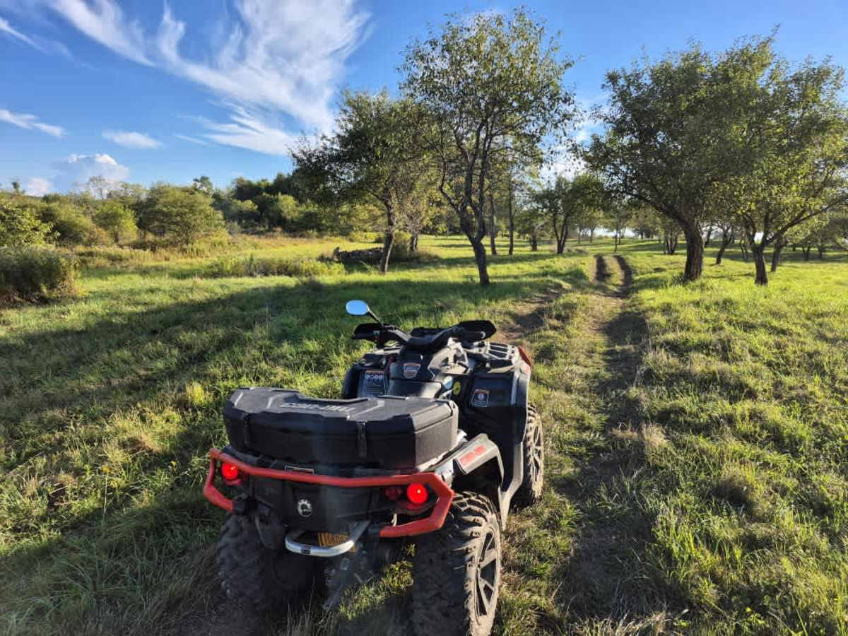 Byron Corners Orchard trail photo