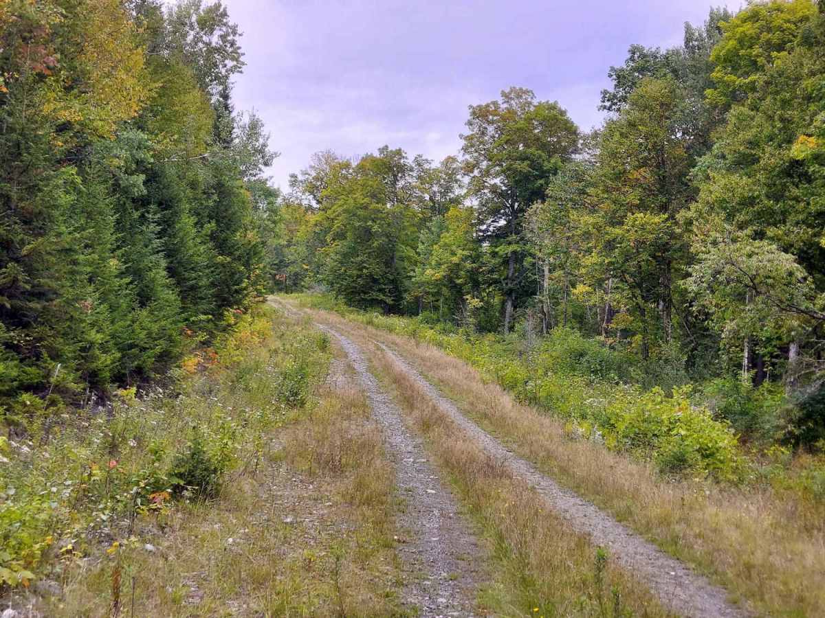 Roby Brook Road photo 2