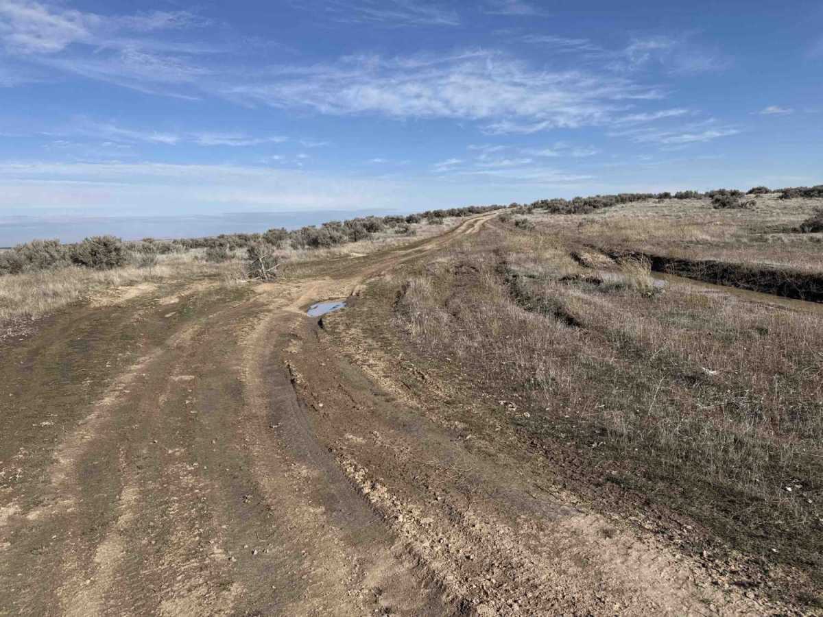 South Curlew Connector photo 2