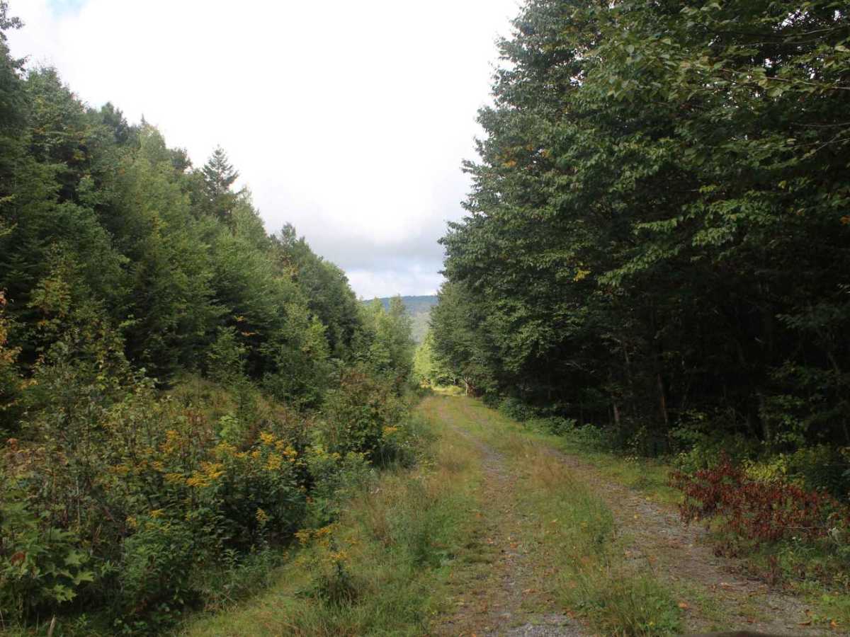 27-20 Trail photo 6