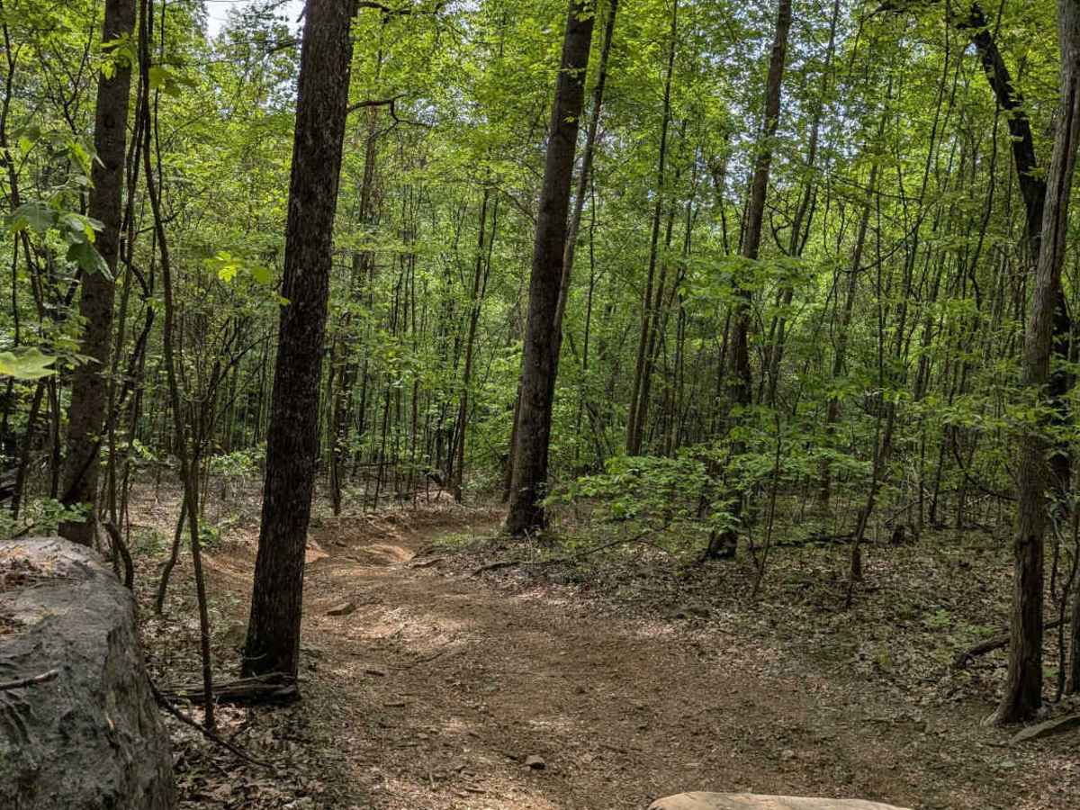 Trail 30 photo 3