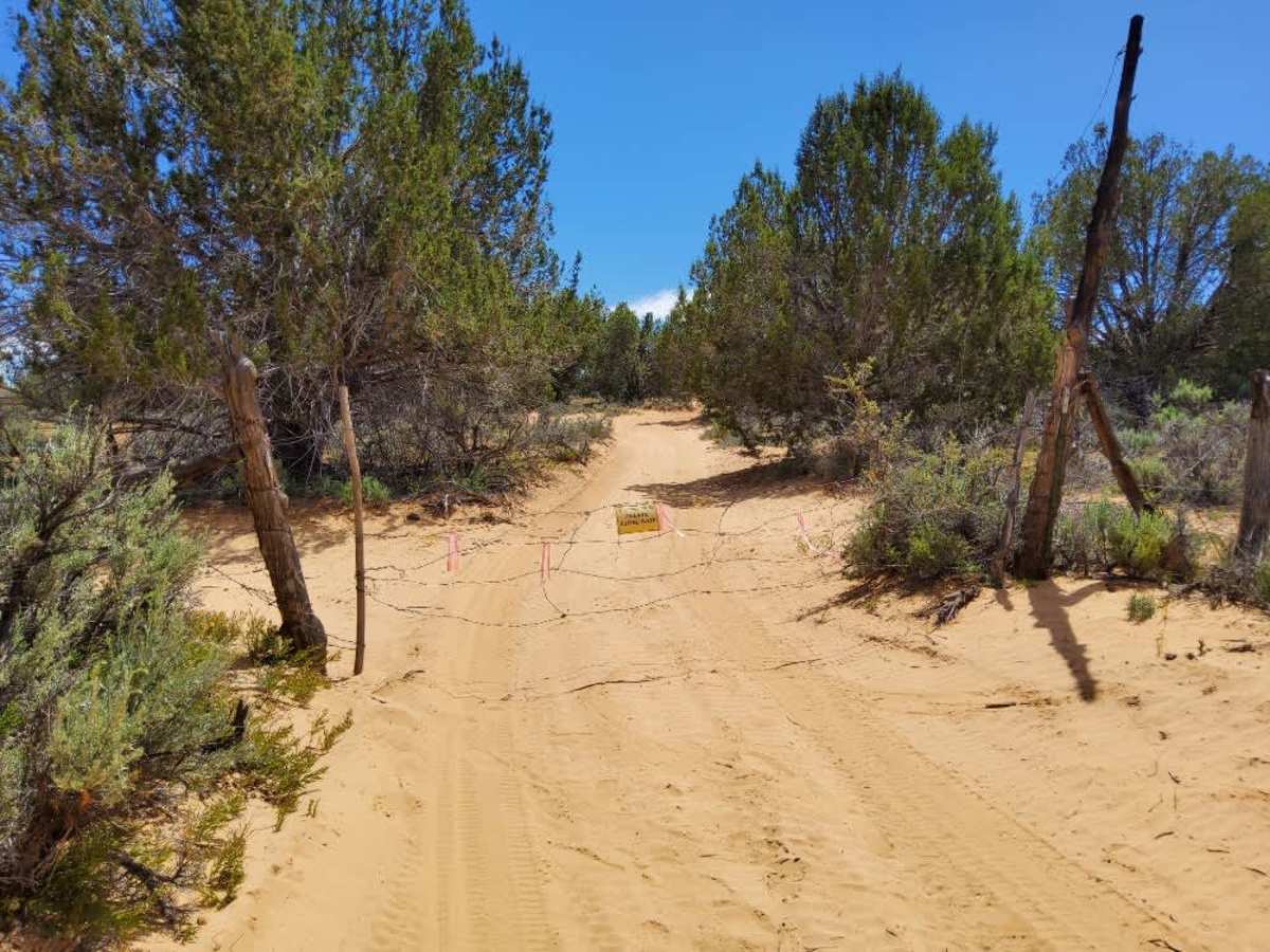 BLM 100F trail photo