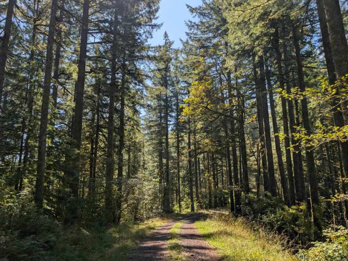 6000 trail photo