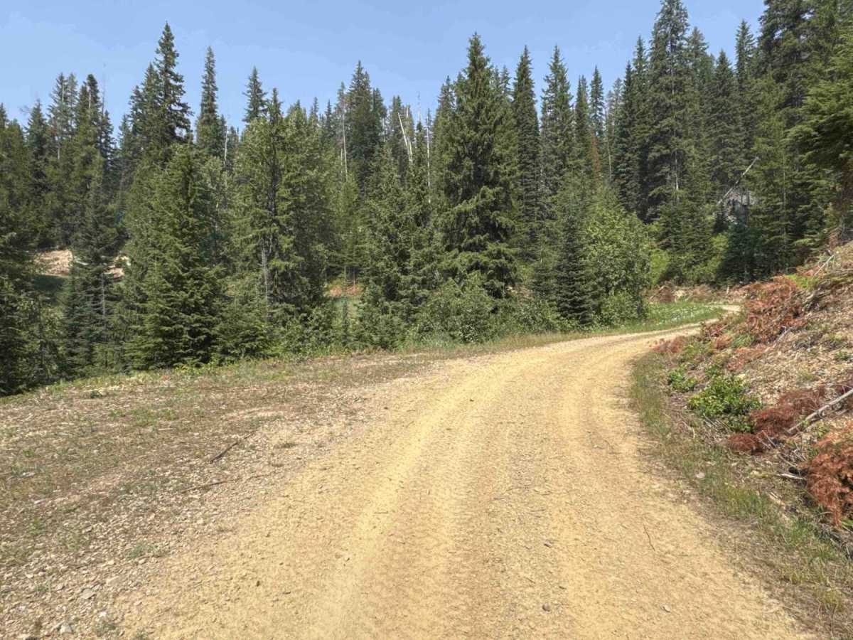 Middle Fork Big Creek - FS 1181 photo 2