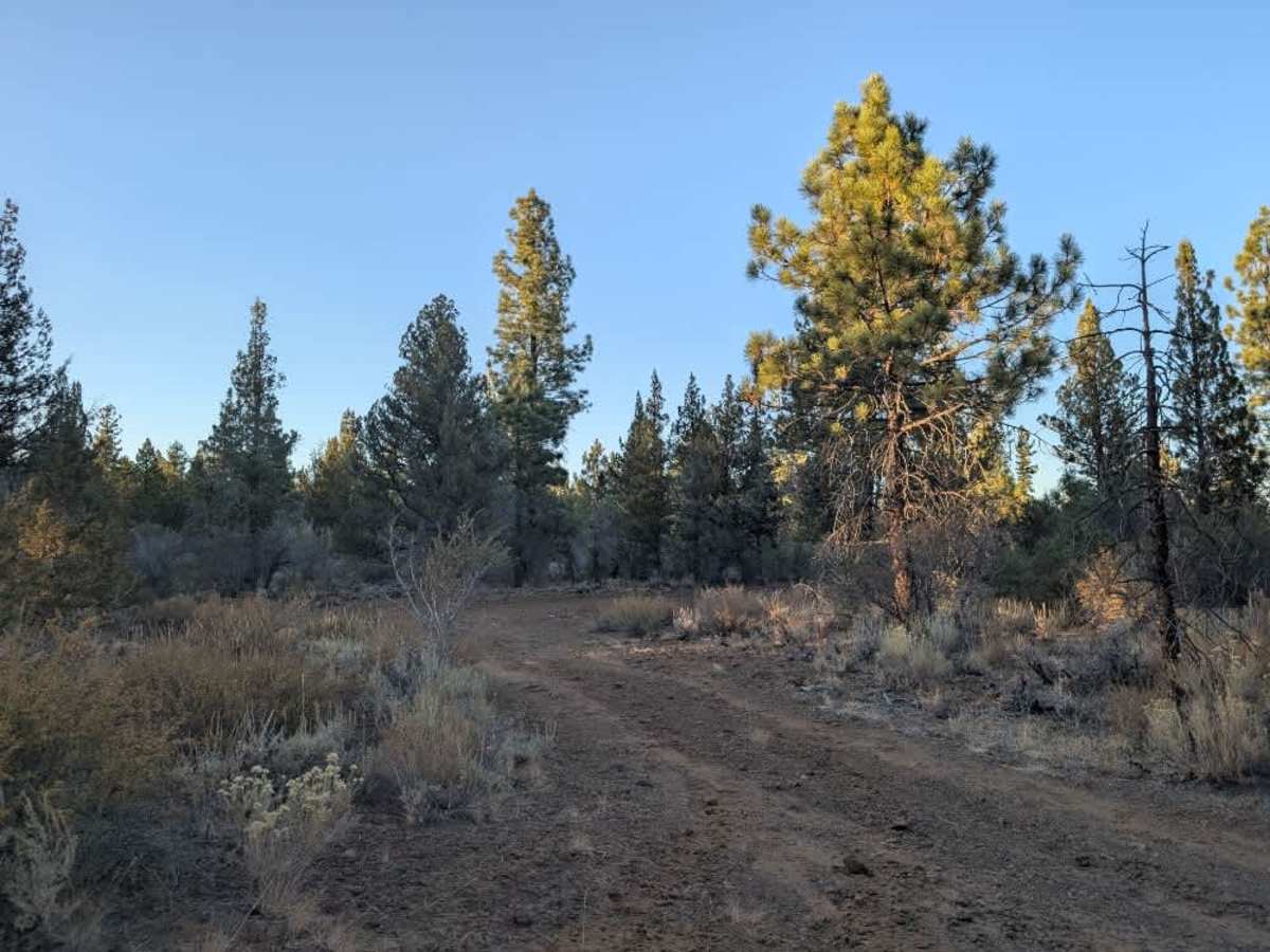 FS 32N84Y, California | Off-Road Trail Maps, Difficulty, Trail Status ...