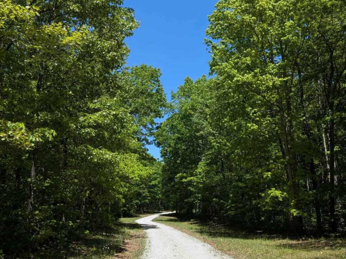 Bear Hollow Road photo 4