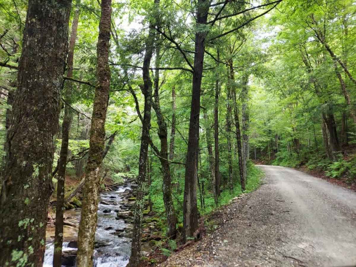 Bridgewater Hollow Road trail photo