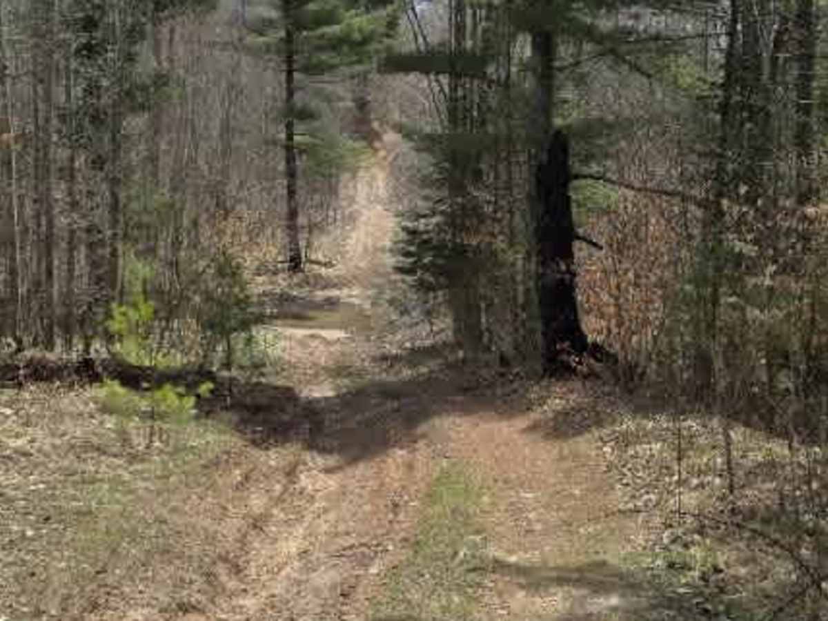 Holms Road Loop photo 6