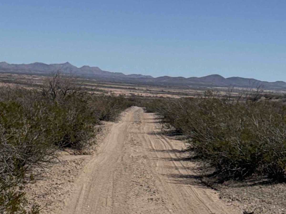 Ss1004 trail photo