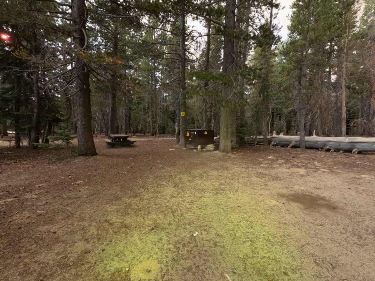 Red Lakes Road - FS 8S042 photo 2