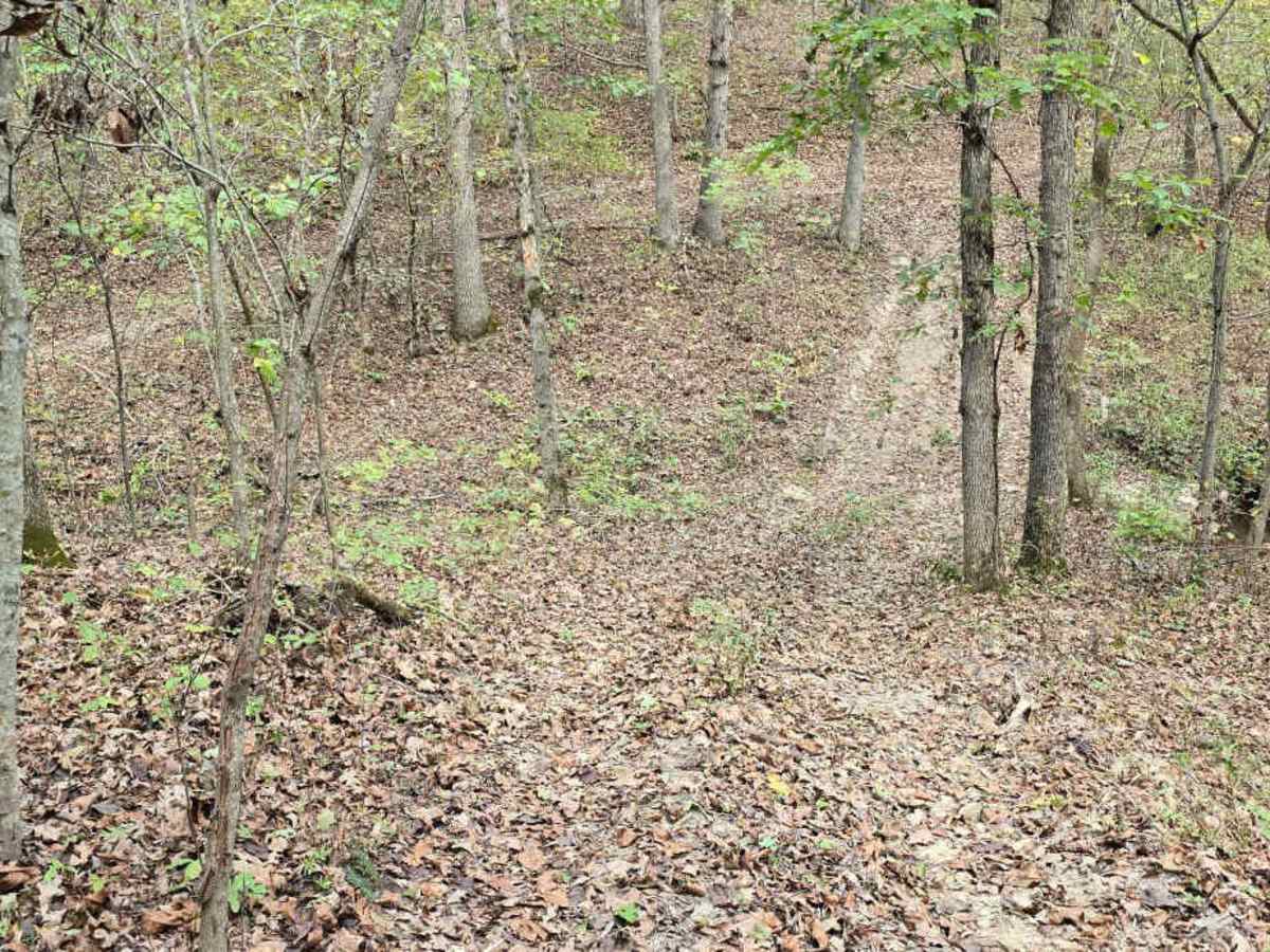 Ledges photo 2