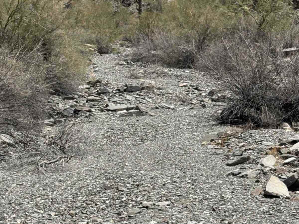 West Calcite Wash  trail photo