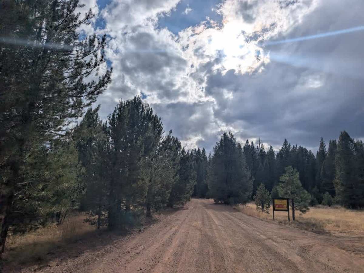 FS 101 trail photo